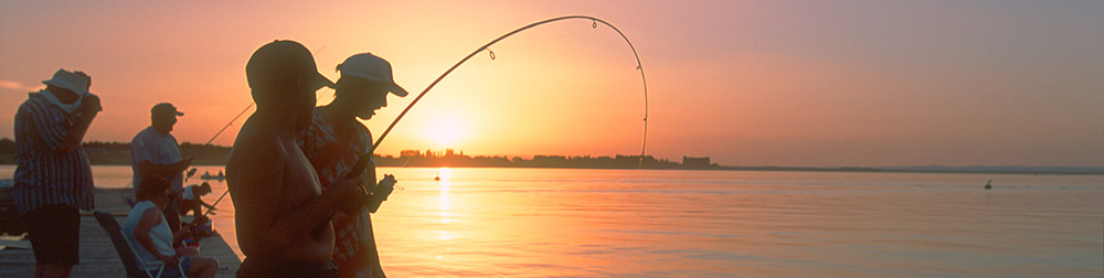 category 8 banner